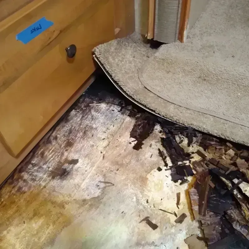 Wood Floor Water Damage in Valinda, CA